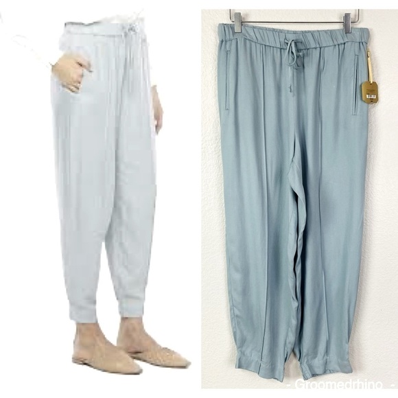 Raegrass Slate Luxe Jogger Pants Size M - Picture 1 of 13